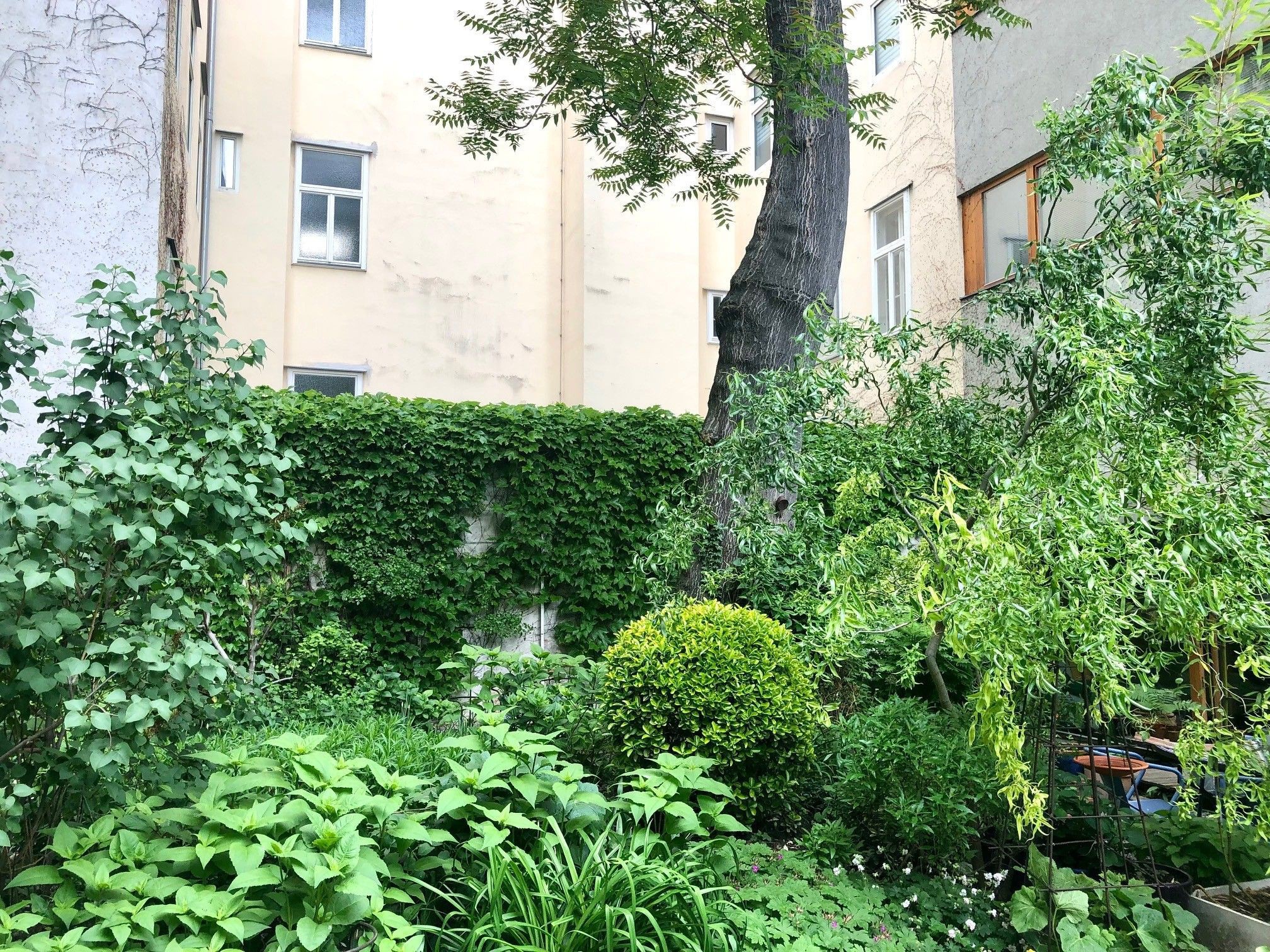 Innenhof mit Baum, Sträuchern und Stauden