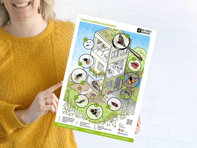 Insektenposter