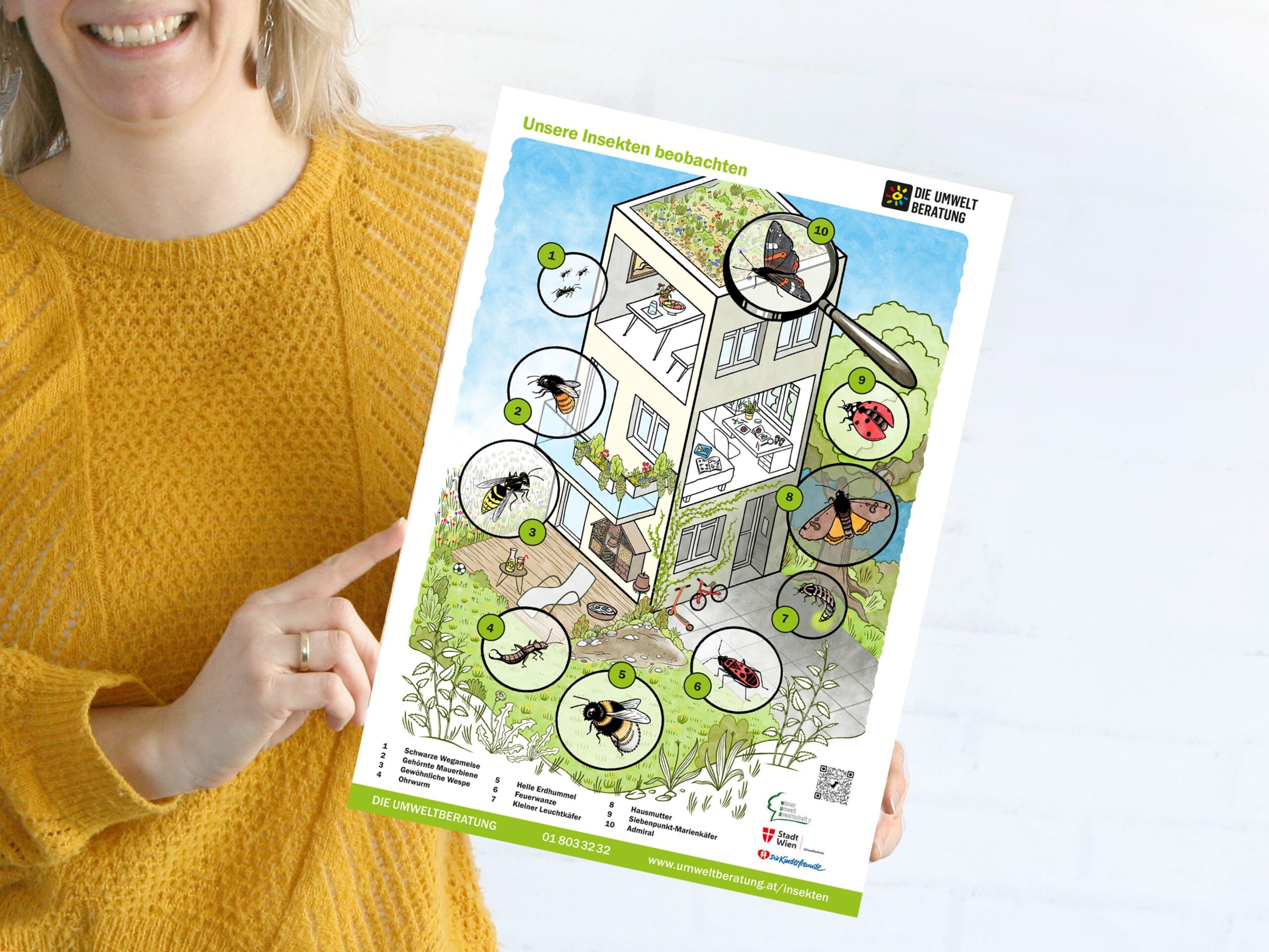 Insektenposter