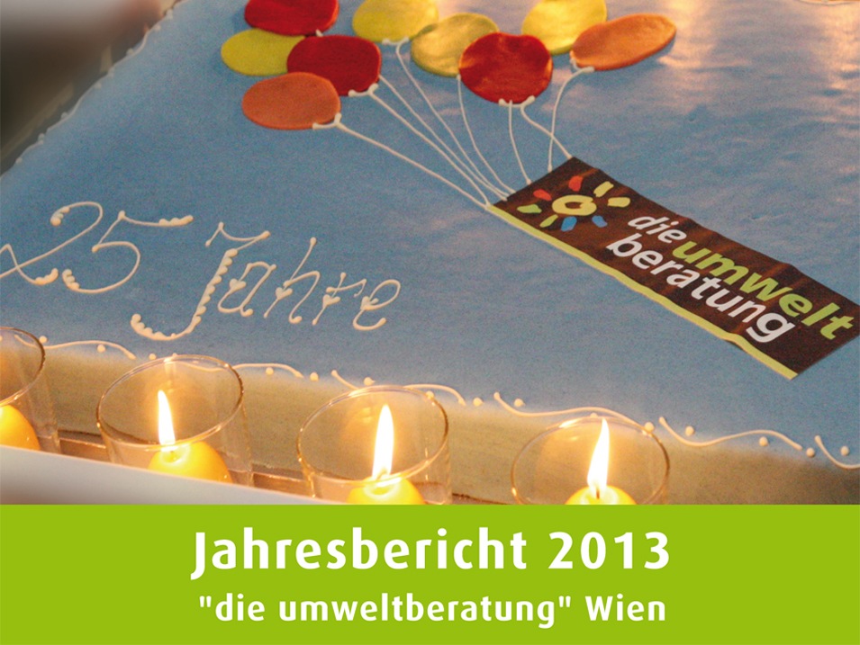 jahresbericht-2013
