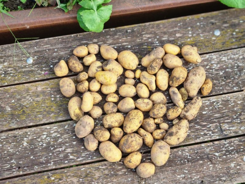 Herz aus Kartoffeln