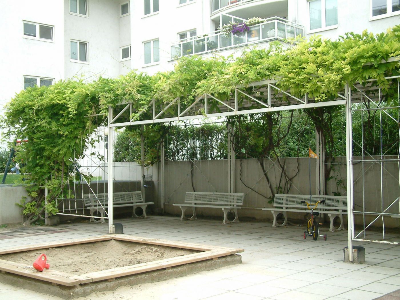 Kletterpflanze über einer Pergola als Schattenspender im Innenhof