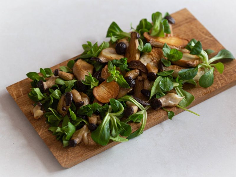 gebratene Kräuterseitlinge auf Vogerlsalat