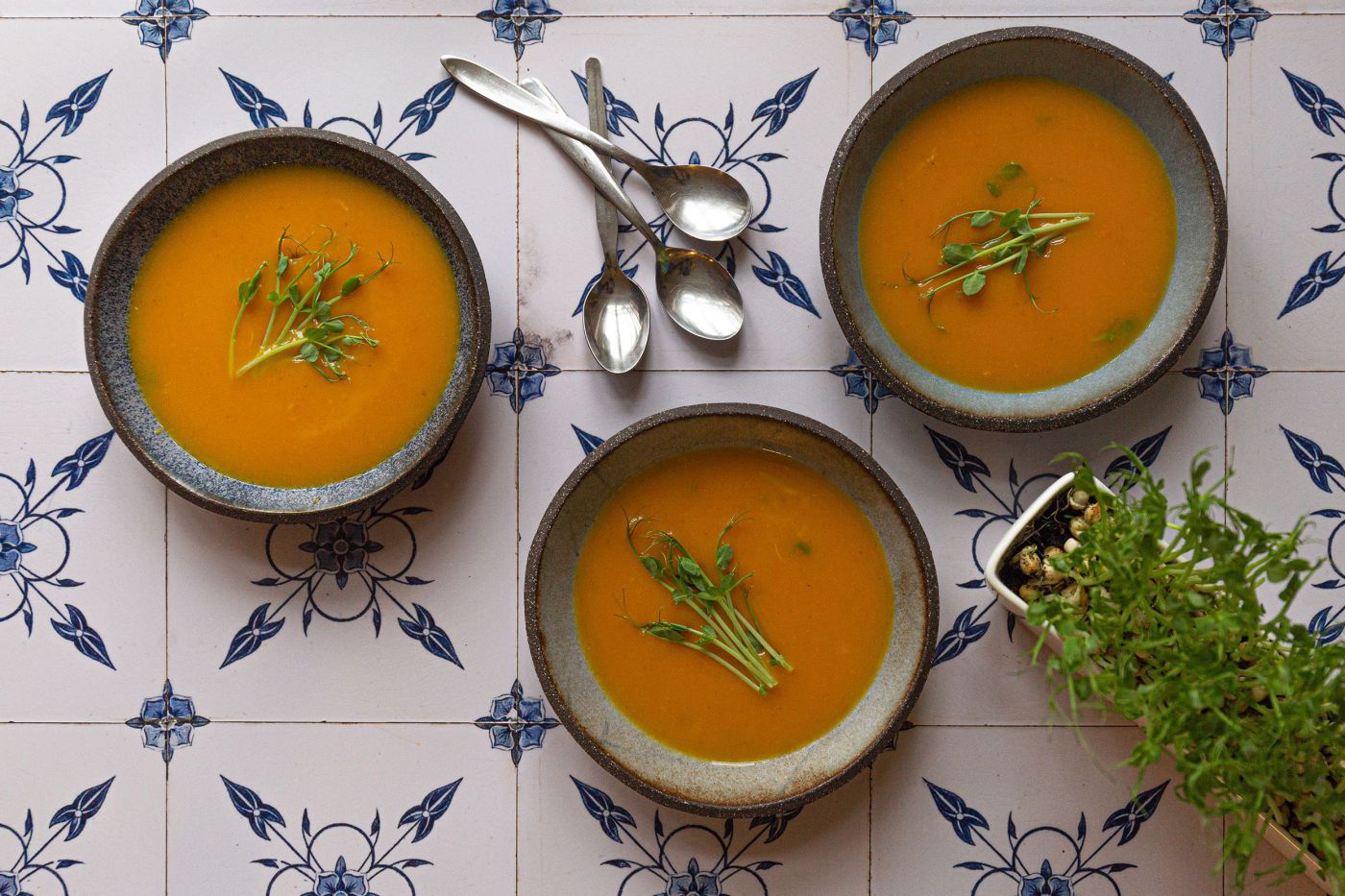 Kürbissuppe mit Microgreens