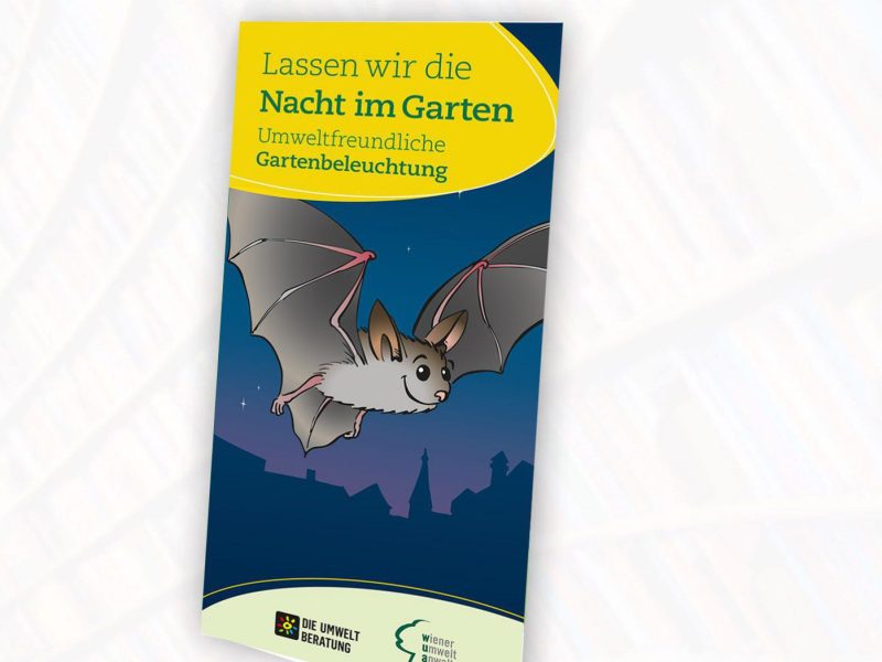 Folder Lichtverschmutzung