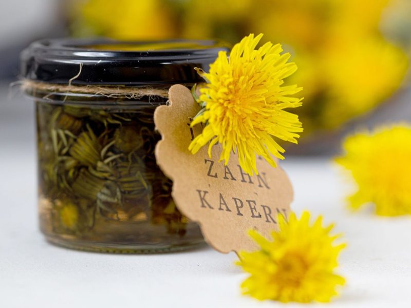 Löwenzahnknospen-Kapern