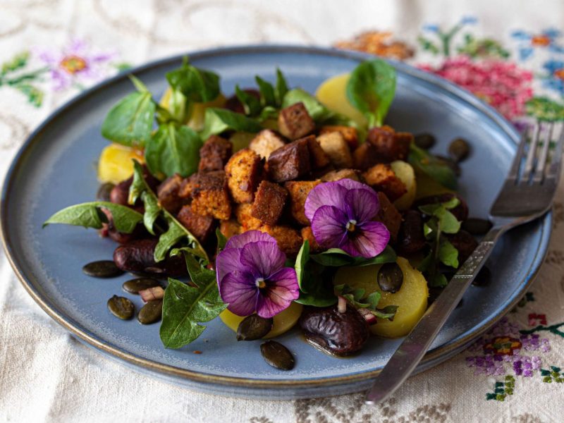 Löwenzahnsalat mit Tofu und Käferbohnen serviert am blauen Teller