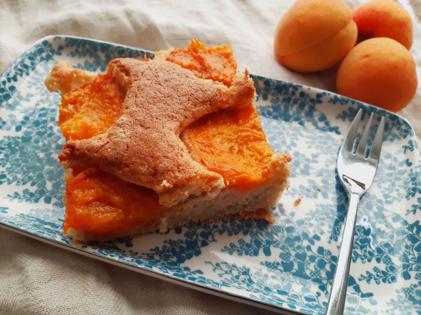 saftiger Marillenkuchen mit Vollkornmehl