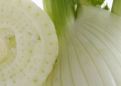 Fenchel