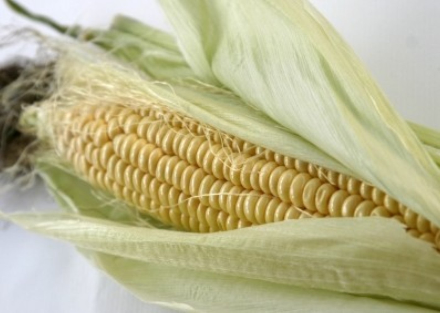Maiskolben