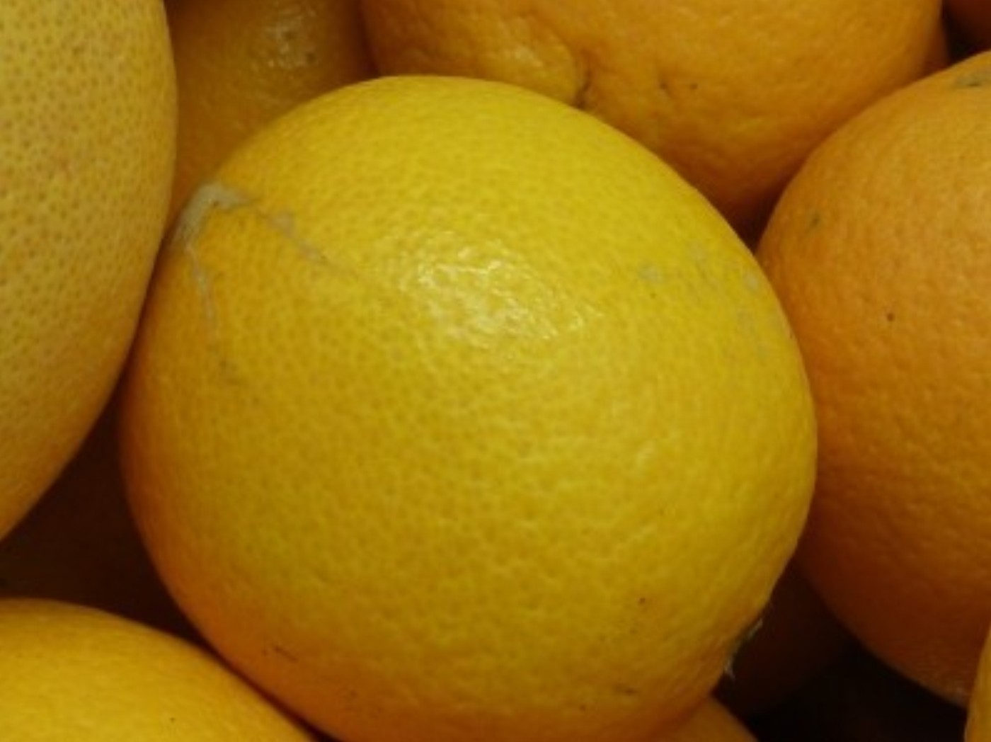 Orangen