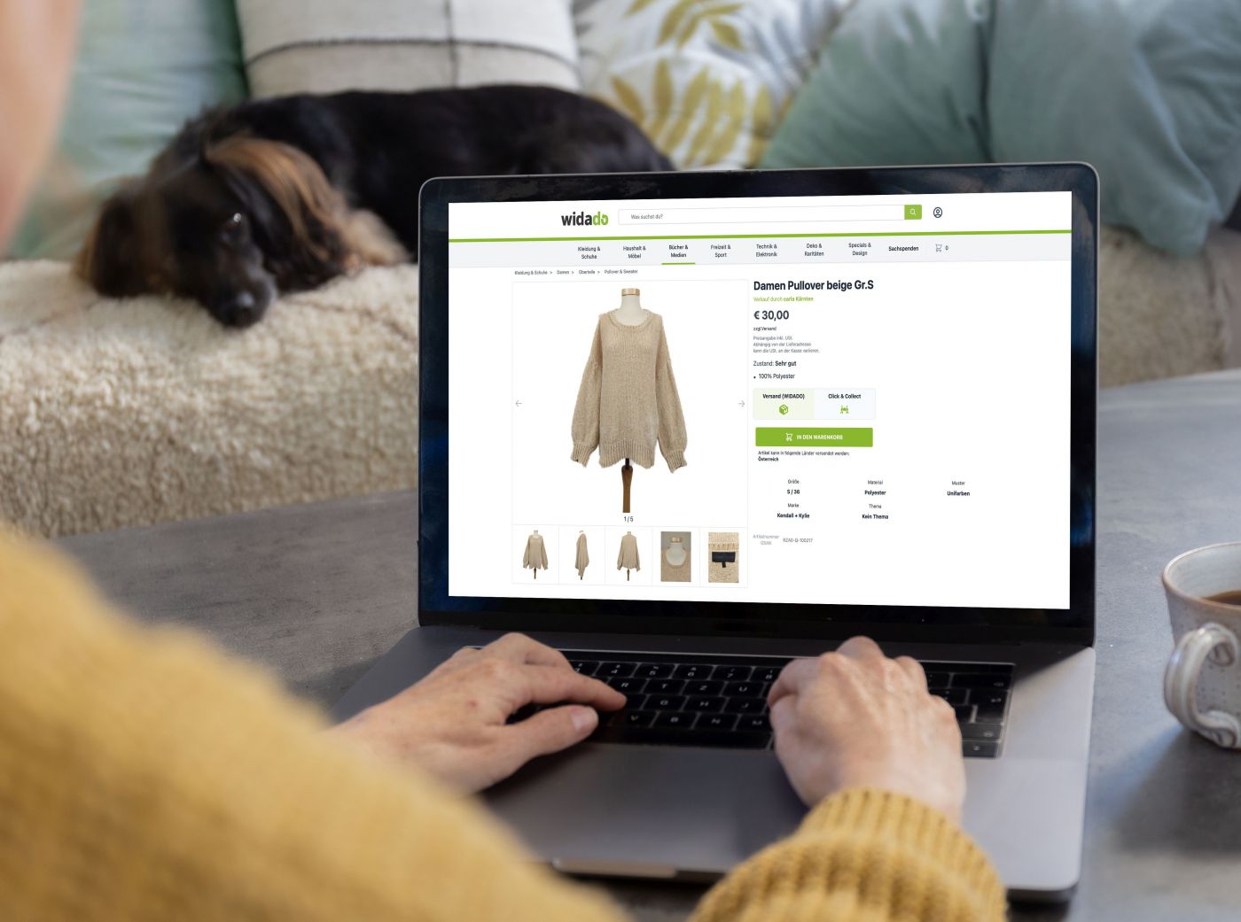 Onlinbeshopping an Sofa