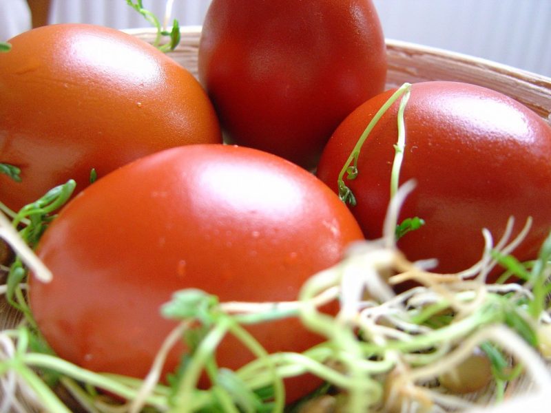 Rote Ostereier, gefärbt mit Zwiebelschalen