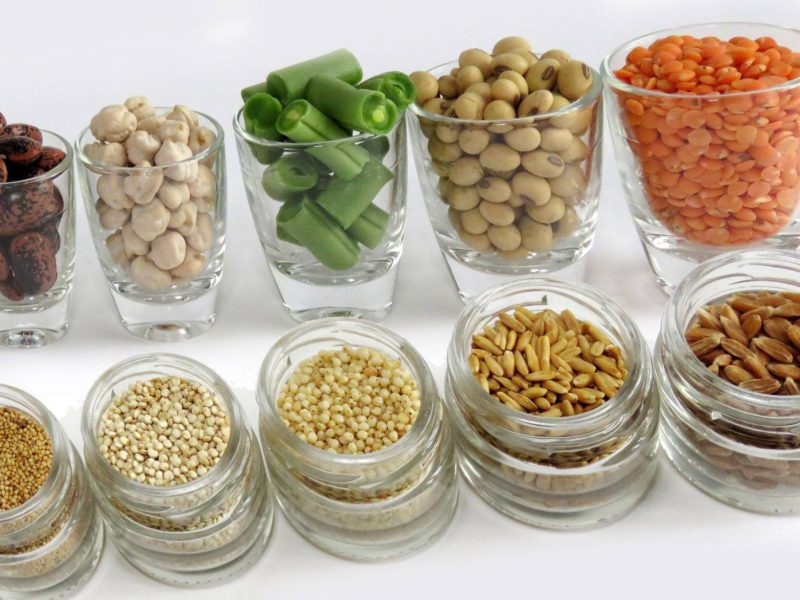 Pflanzlicher Proteinmix