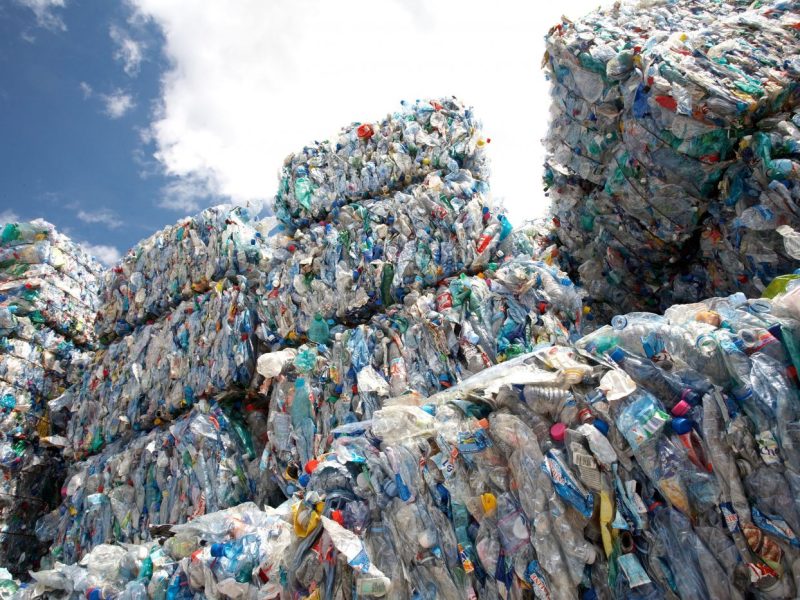 plastikflaschen-abfall-sortiert_fotofuerst_adobestock_22330968