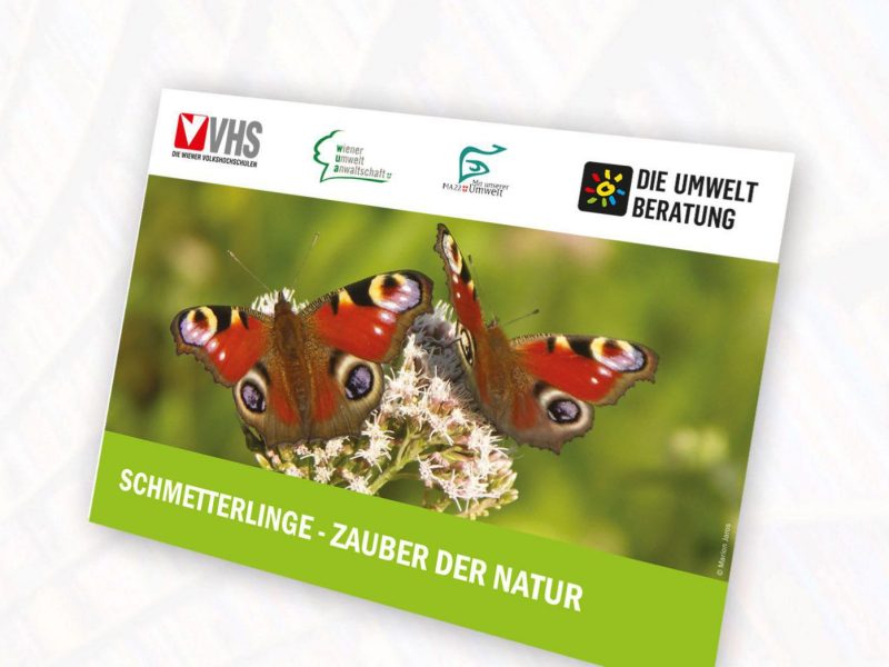 Cover Schmetterlingsposter
