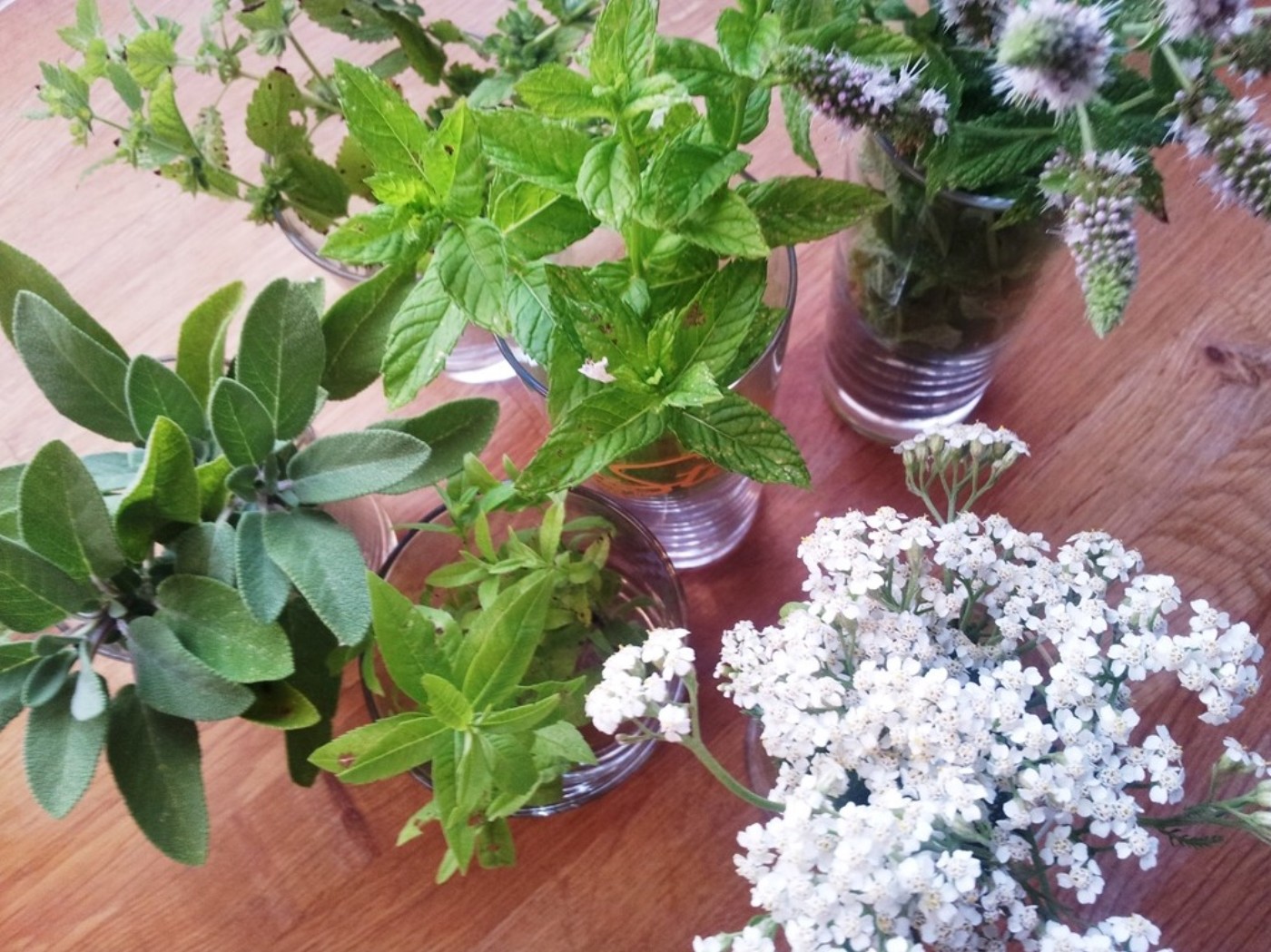 sommerlicher Kräutersirup