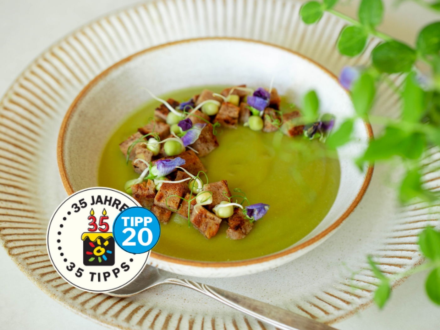 erbsensuppe