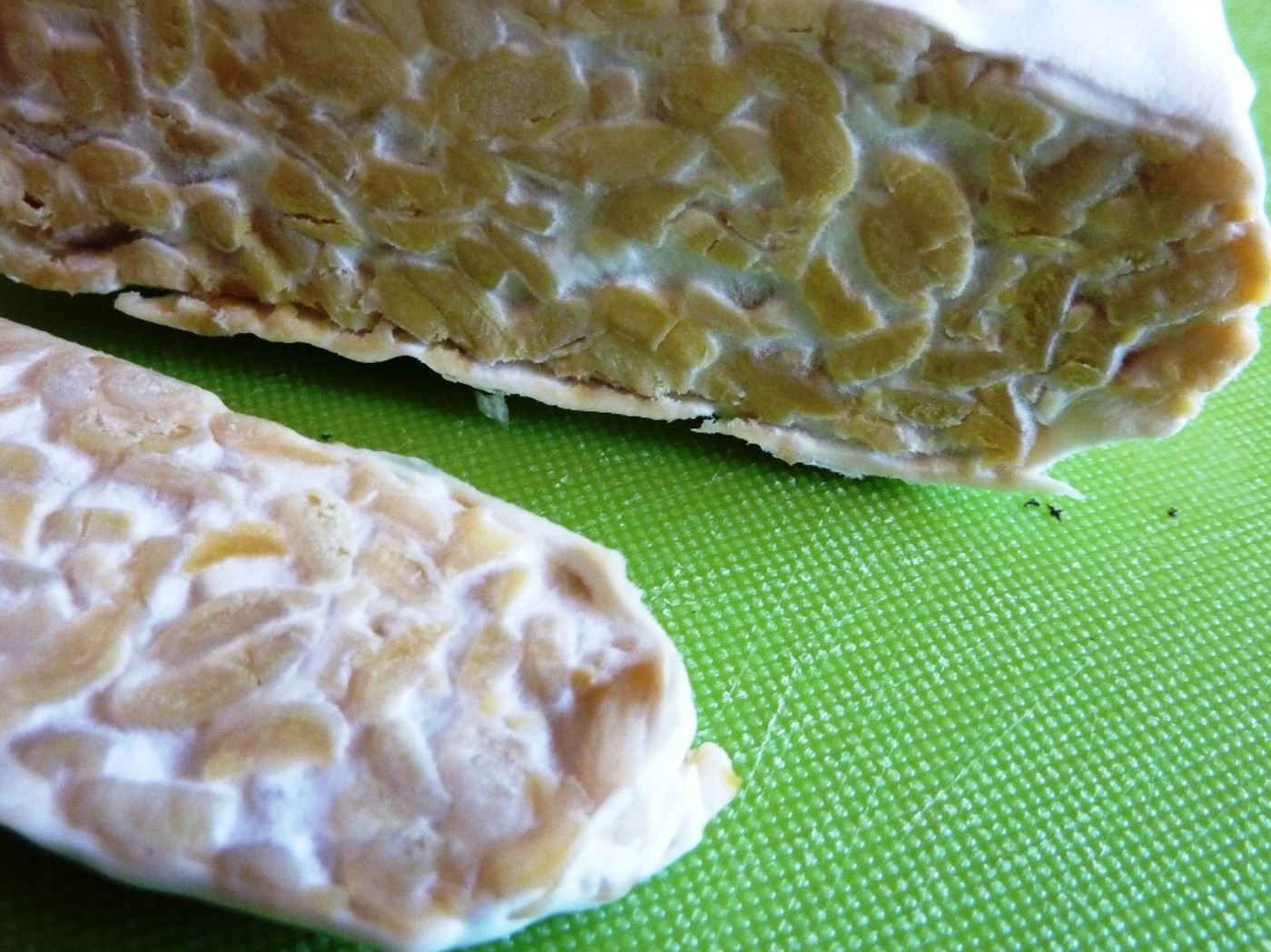 Tempeh