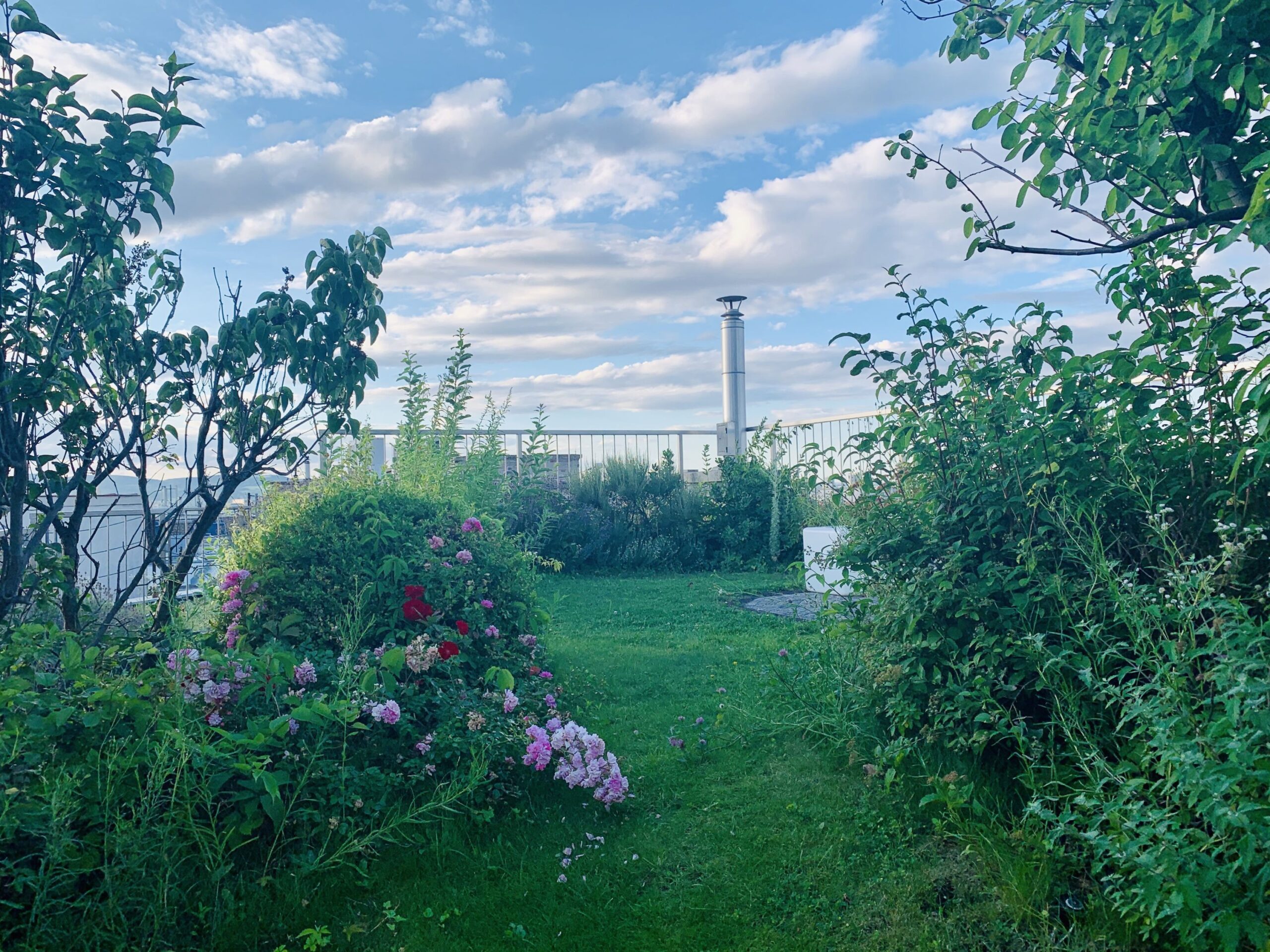 Begrünte Dachterrasse