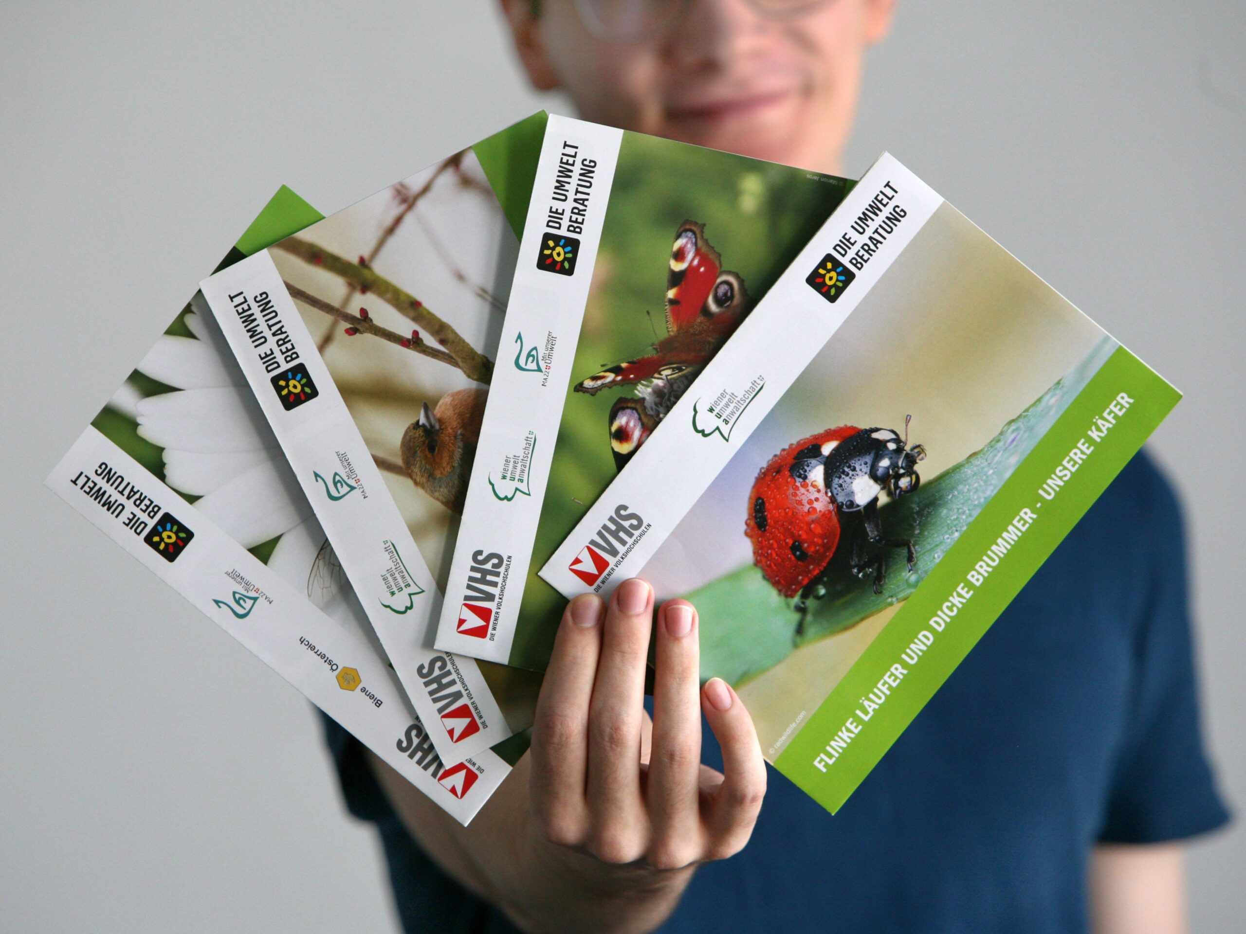 Hand hält 4 Tierposter