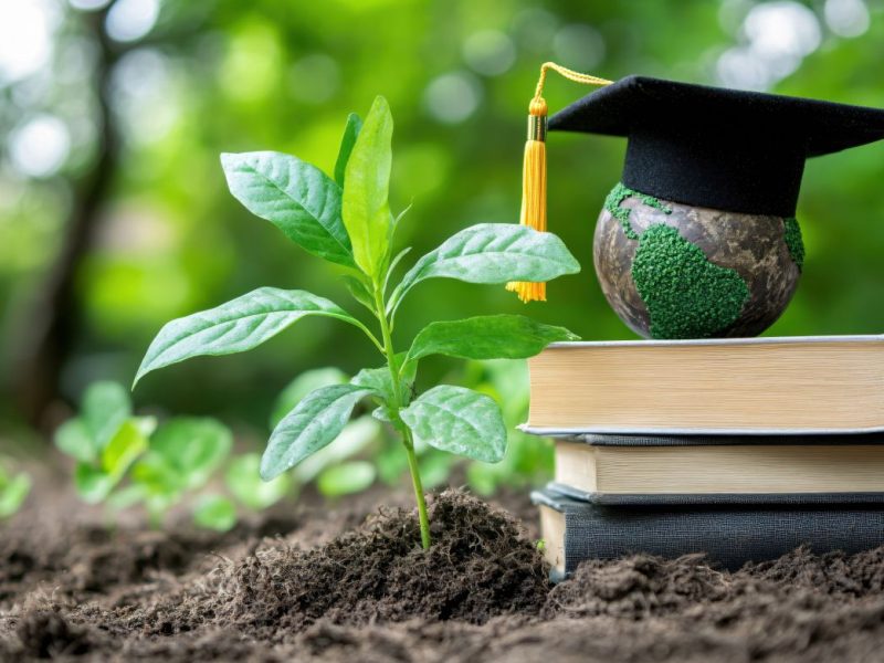 Absolventen Hut liegt auf Büchern und neben einem gepflanzten Baum