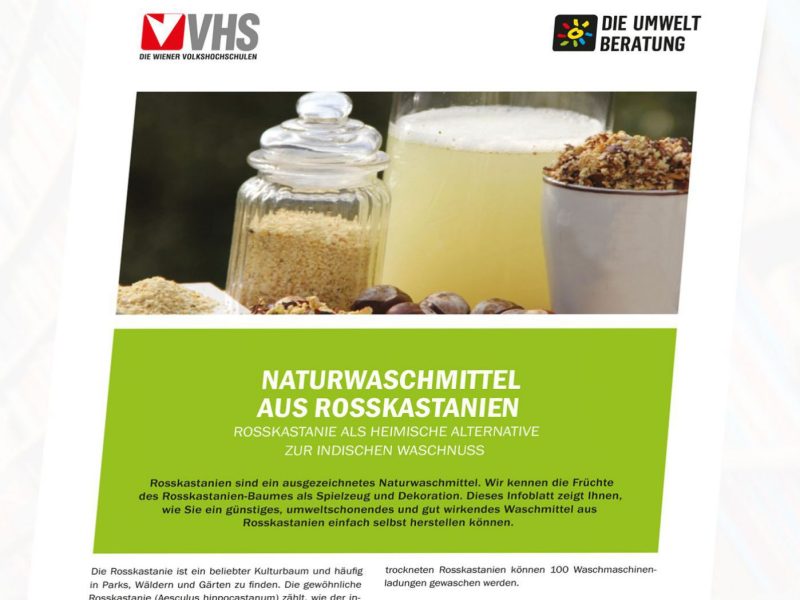 Cover Naturwaschmittel mit Rosskastanien