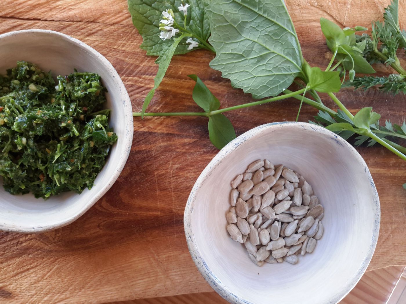 Wildkräuterpesto