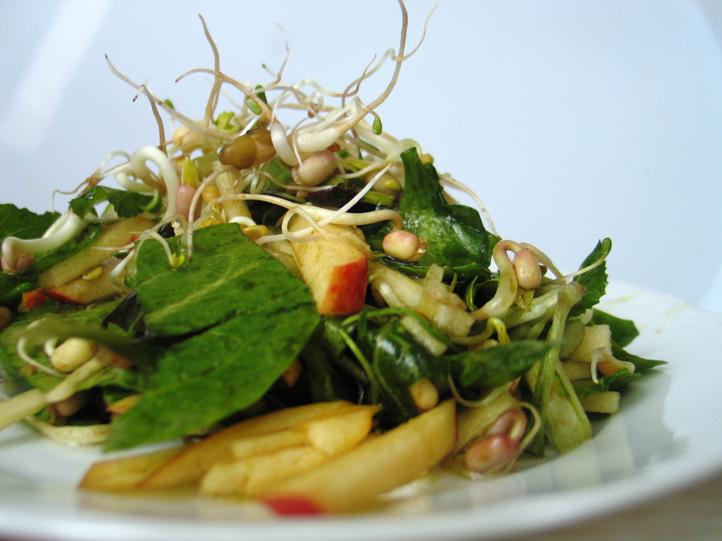 Salat mit Sprossen