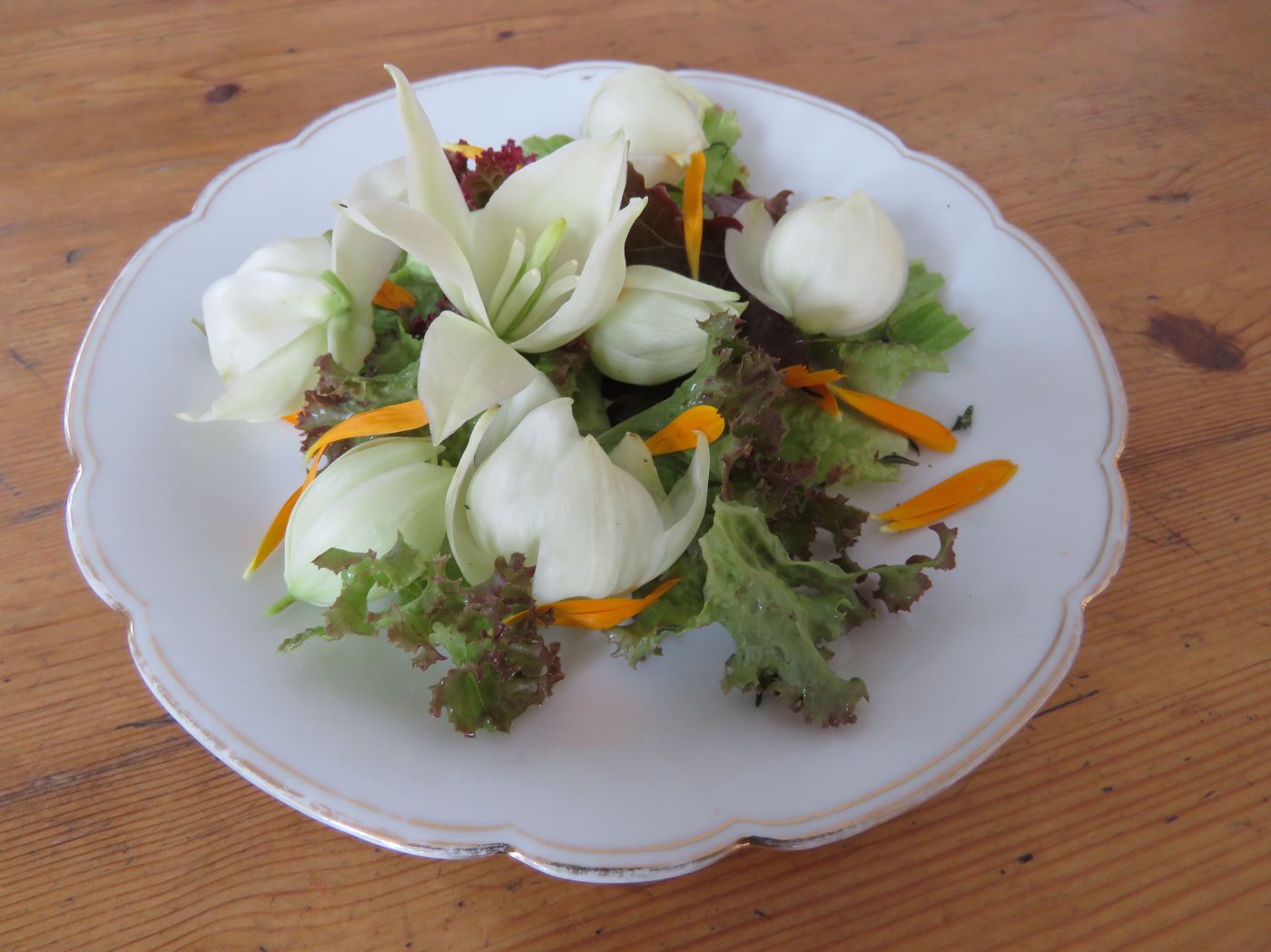 yucca_salat